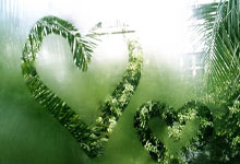 湖人猛将欲驾临CBA！沪粤争锋，谁才是黑马？.